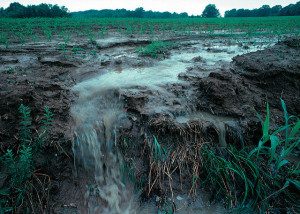 Water Runoff from Crop Field