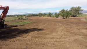 Field site leveled and ready for planting of cool season grasses